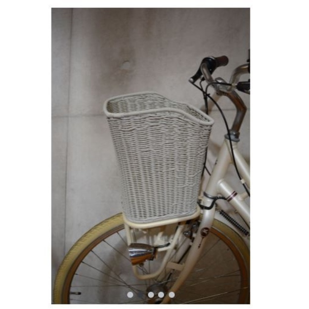 Front carrier bag Pegasus Tourina cream braided