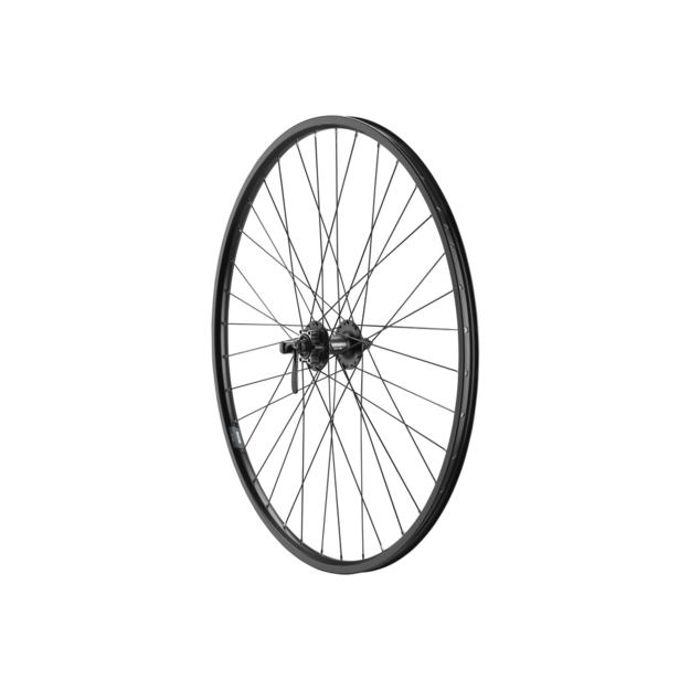 Wheel 28 /29  RYDE ZAC19 Disc 622-19