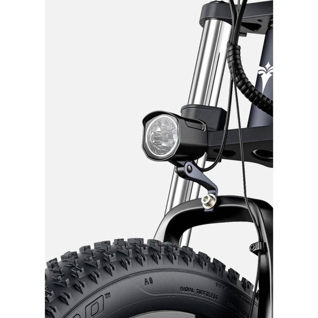 Bicycle 26  electric Engwe X26 double battery black
