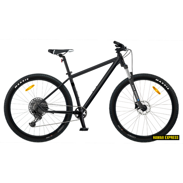 Dviratis 29  CLASSIC X10 10s 29  black classic