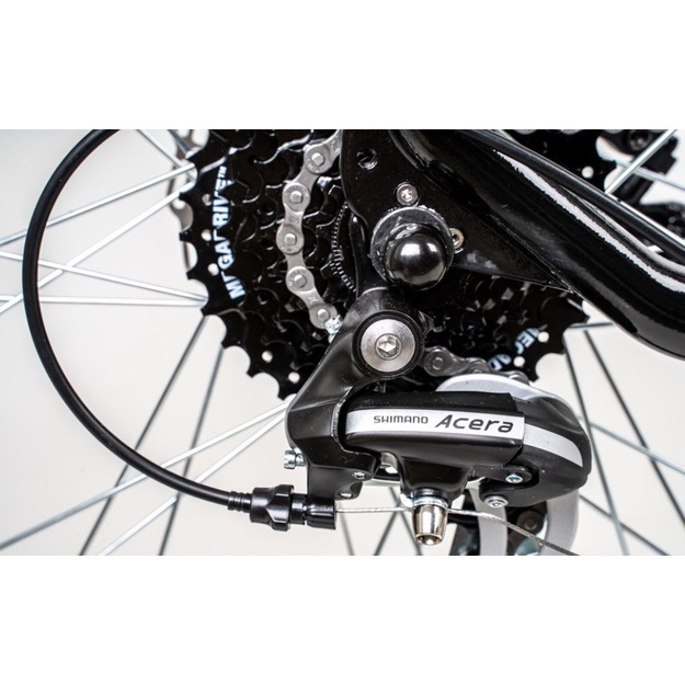Bicycle 29