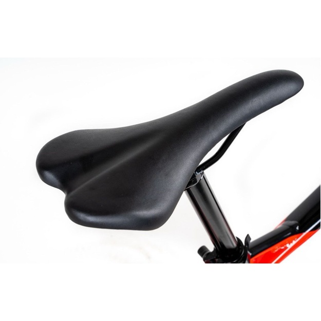 Bicycle 29