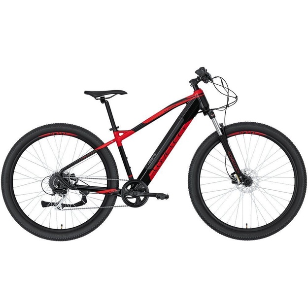 Bicycle 29