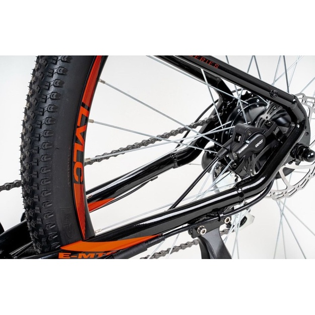 Bicycle 29
