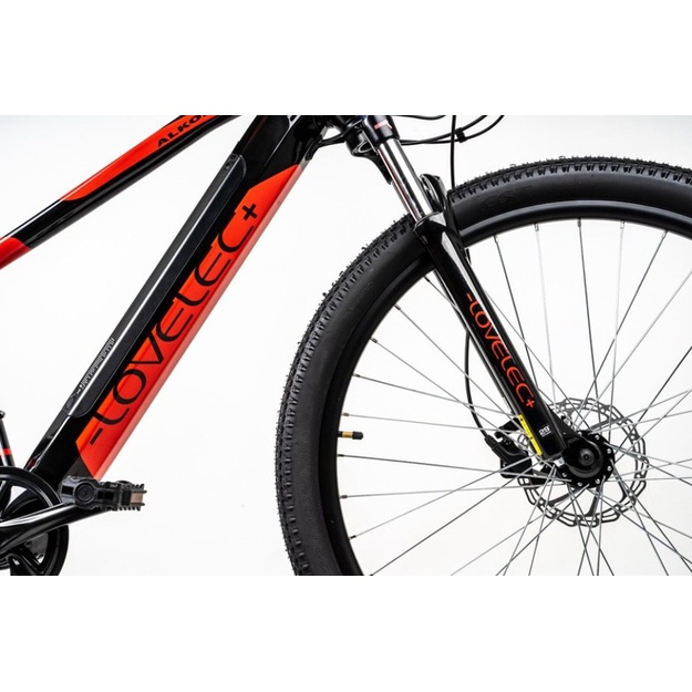Bicycle 29