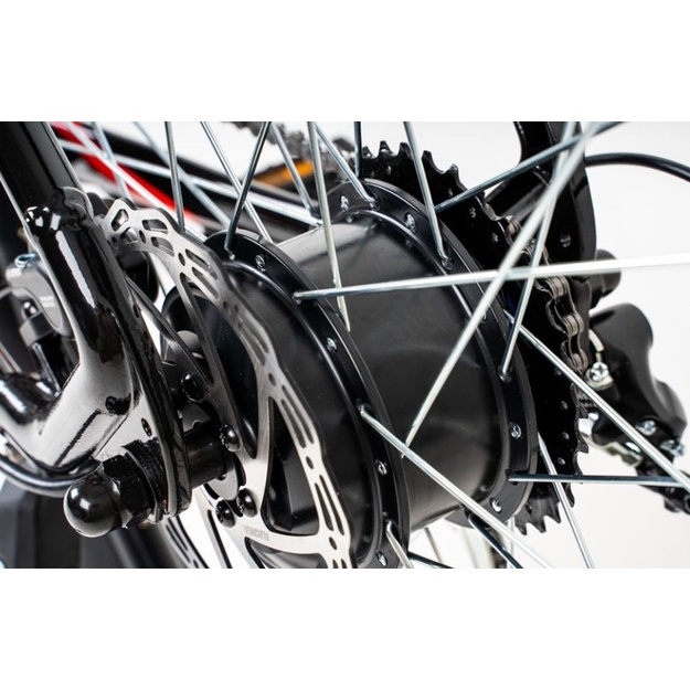 Bicycle 29