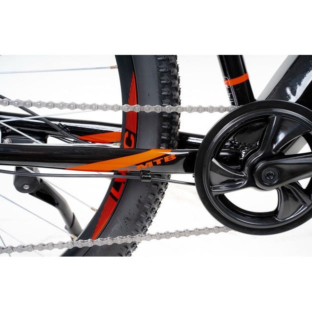 Bicycle 29