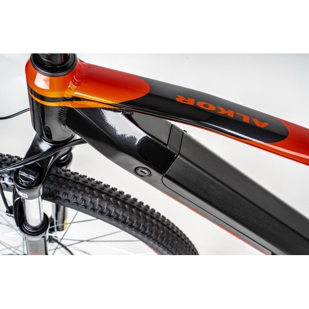 Bicycle 29