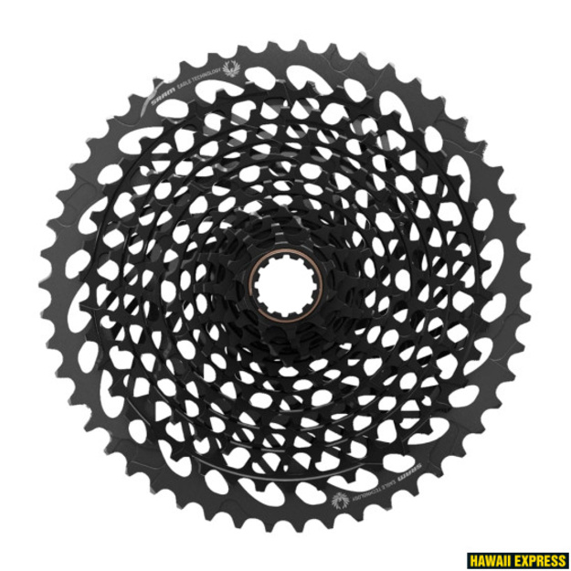 Kasetė SRAM XG-1295 10-50T 12g
