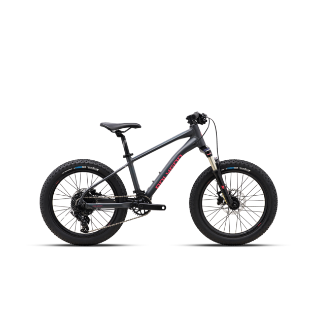 Bike 20  POLYGON XTRADA 20 CHARCOAL