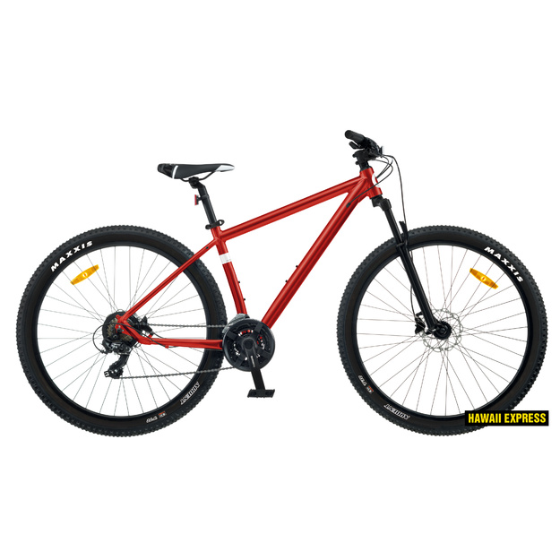 Dviratis 29  CLASSIC PRO 29 21s 29  red classic