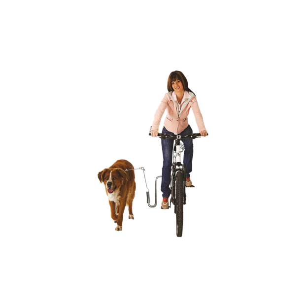 Dog Runner Dog Leash Bike Leash