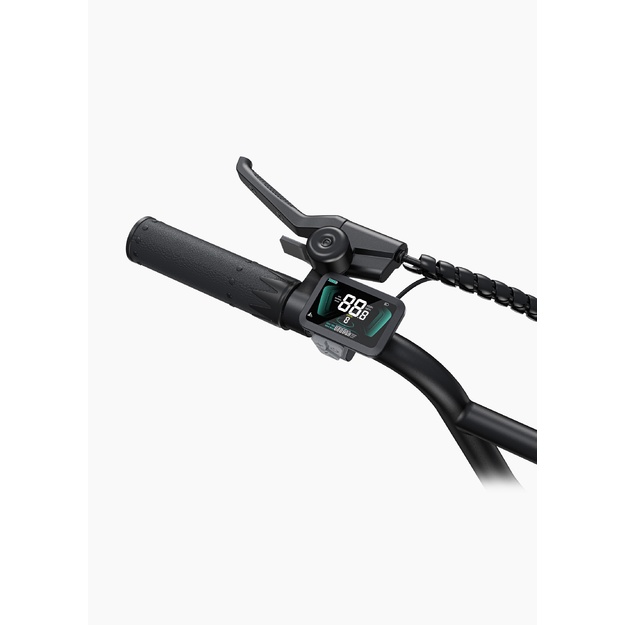 Bicycle 20  electric Engwe L20 Boost green