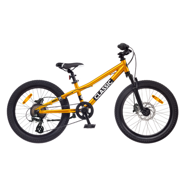 Dviratis 20  CLASSIC PRO 20+ golden classic