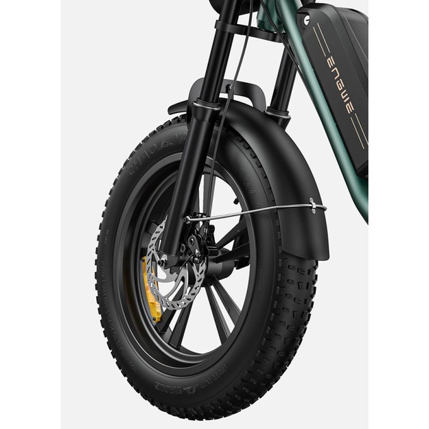 Bicycle 20  electric Engwe M20 double battery green