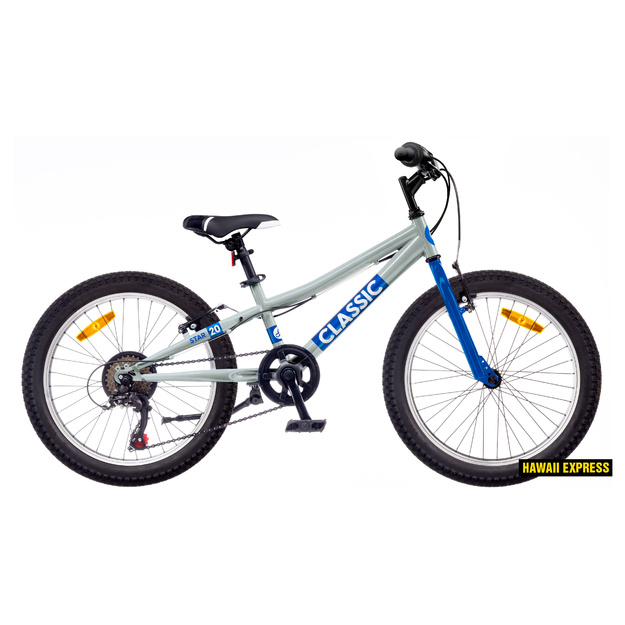 Dviratis 20  Classic STAR 20 BOY silver