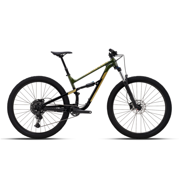 Bike 29  POLYGON SISKIU D6 LG GREEN/BROWN