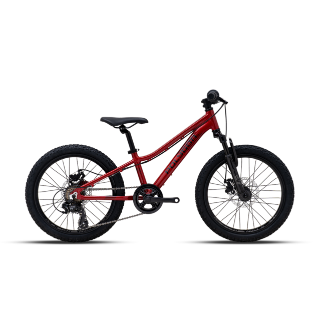 Bicycle 20  POLYGON RELIC red