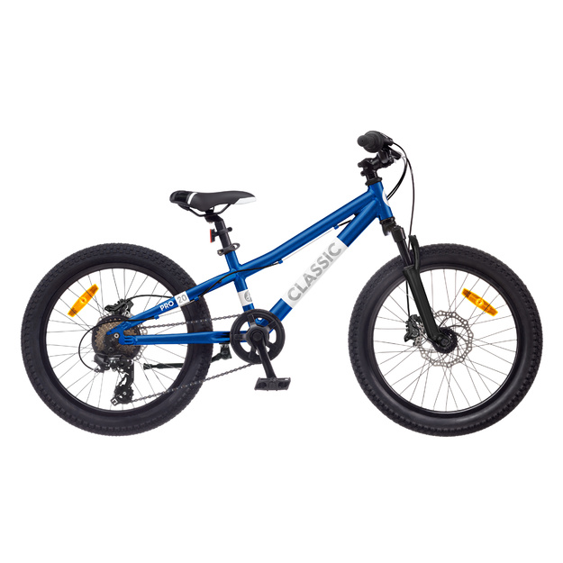 Dviratis 20  CLASSIC PRO 20 BOY blue classic