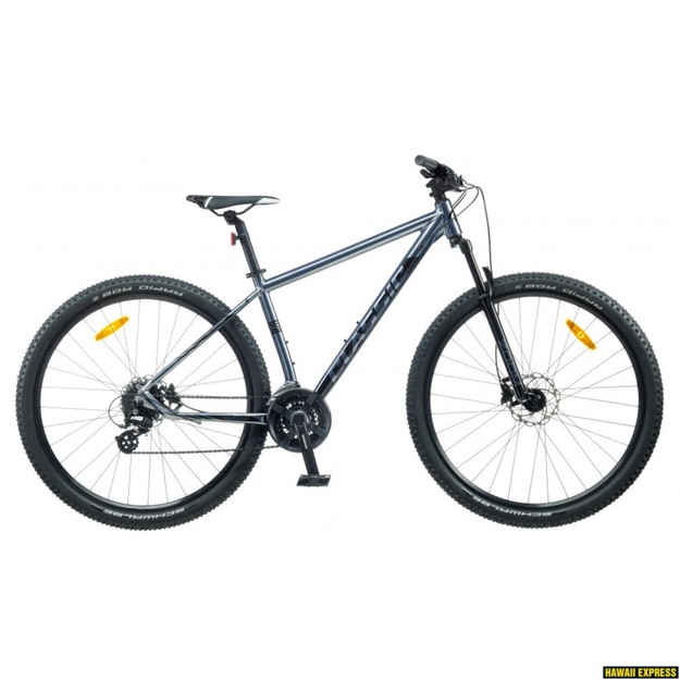 Bicycle 29 CLASSIC PRO 29 Disc 24spetallic classic