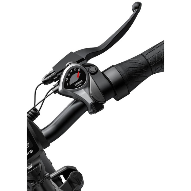 Bicycle 20  electric Engwe EP-2 PRO black