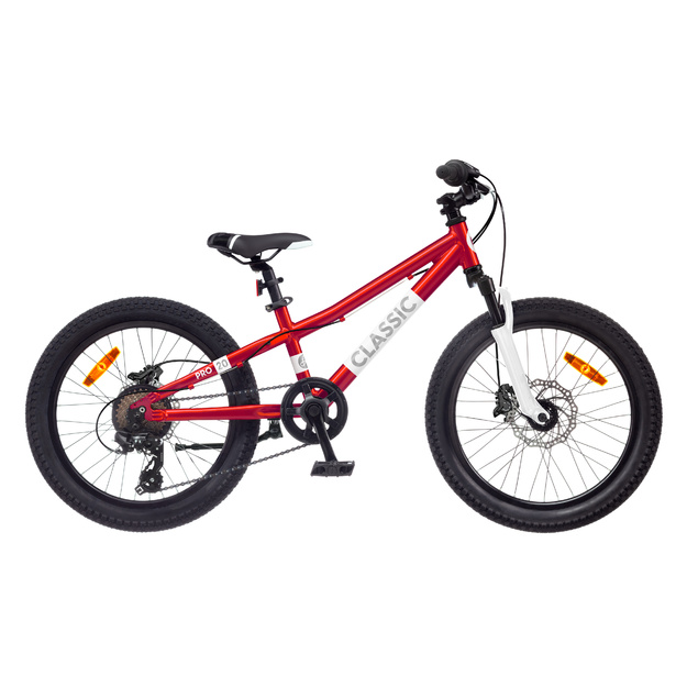 Dviratis 20  CLASSIC PRO 20 GIRL red classic